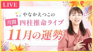 【四柱推命 11月の運勢】「最重要な学び」が捗る！開運ポイントampあなたの月間運勢も解説♪ [upl. by Schellens]