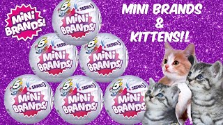 UNBOXING MINI BRANDS SERIES 3 With Cute Kittens Zuru 5 Surprise Ball Blind Bag Toy Opening [upl. by Derreg]