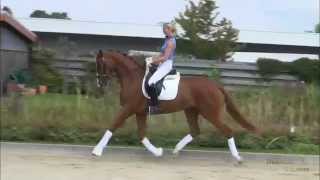 wwwdressagetalentscom  StPrSt Sommermädchen [upl. by Nim137]