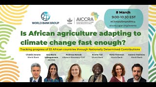 Is African agriculture adapting to climate change fast enough [upl. by Led409]