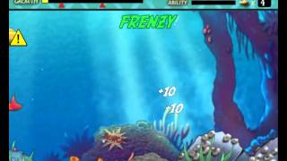 Feeding Frenzy 1 gameplay level 1 to 10 [upl. by Etoile]