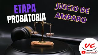 Etapa Probatoria en el Juicio de Amparo  derecho VickyContreras [upl. by Ludmilla]