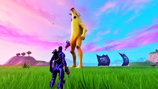 How to RESIZE YOUR CHARACTER in fortnite New Fortnite glitches season 9 PS4Xbox [upl. by Leilamag]