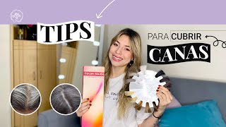 Tips para MATIZAR CANAS  Caterina Edicadora [upl. by Nytnerb]