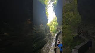 20240815 Cavern Cascade Watkins Glen State Park NY [upl. by Dragde]