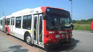 OC Transpo Exclusive  2010 New Flyer D60LFR Part 2 [upl. by Mommy]