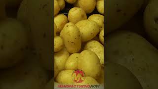 Frozen Potato Producers Accused of Fixing Prices potato fries farming agriculture [upl. by Gratia]