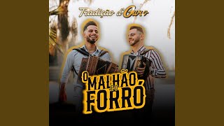 O Malhão E O Forró [upl. by Elohc]