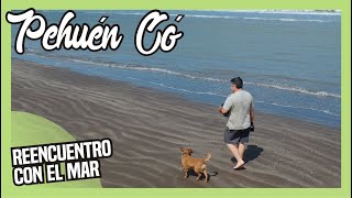 🌊PEHUEN CO🌞Costa Atlantica💦Buenos Aires [upl. by Blainey836]