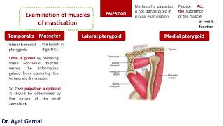 How to palpate muscles of mastication [upl. by Petunia]