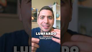 IL LUNFARDO ARGENTINO LE PAROLE ITALIANE 🇮🇹🇦🇷 lunfardo argentina italy italiano [upl. by Bendick244]