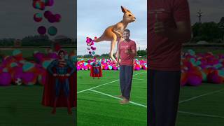 The mascot vibrato assistant placed on thefootball field is popular 🦌 [upl. by Acinorahs]