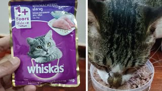 Cat Review WHISKAS Cat Food  Dry Cat Food Food For Persian Cats [upl. by Marita]