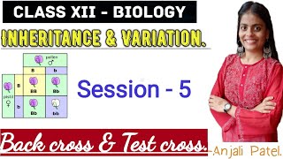 Class XII Biology  Inheritance and Variation  Back cross and Test cross [upl. by Neruat]