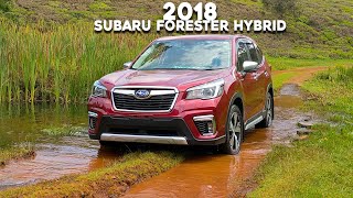 2018 Subaru Forester Hybrid What has changed [upl. by Aldrich]