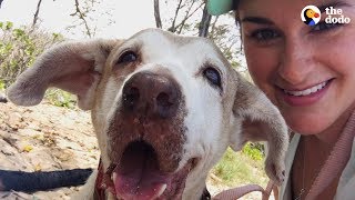 Dog Who Spent 7 Years In The Shelter Is SO Happy To Have A Family  The Dodo Faith  Restored [upl. by Rahr64]