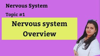 Nervous system overview [upl. by Roseanna543]