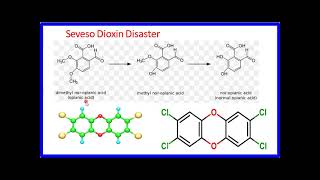 28127Chemical Chapter 3  हिंदी मे  Major Industrial DisasterCase studies 2 Seveso [upl. by Travers621]