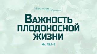 Ев от Иоанна 83 Важность плодоносной жизни Алексей Коломийцев [upl. by Bilak]