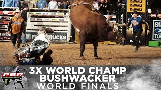 BUSHWACKER The World Finals Outs That Made Him a 3x World Champion [upl. by Yxor]