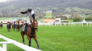 TEAHUPOO batters bookies with Stayers Hurdle glory [upl. by Wilkins636]