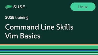 Command Line Skills Vim Basics [upl. by Beatrisa548]