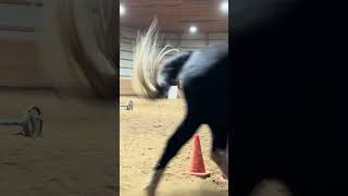 relays from lesson this week fypシ゚ horse equestrianriding [upl. by Ettennyl]