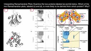 How to interpret Ramachandran Plots [upl. by Tnomad]