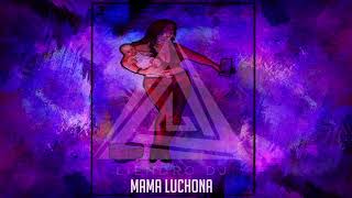 Mama Luchona  DJ LIENDRO  Mix [upl. by Eirok]