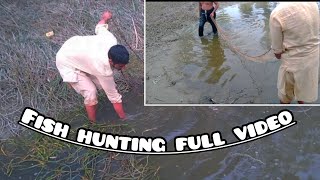 fish hunting full video  fishing in Pakistan  fishing present by Faisal Tv HD [upl. by Vite]