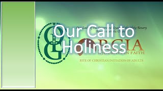 Mystagogy  Our Call to Holiness [upl. by Barbaresi557]