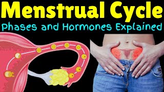 The Menstrual Cycle – Phases and Hormones Explained  Menstruation Explained [upl. by Margret]