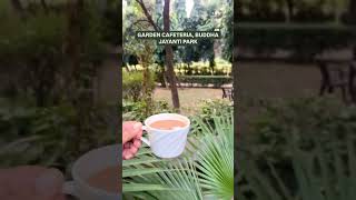 Top 9 best garden cafes for winter dates in Delhi Cafe Hopping 😍🔥 cafehopping newdelhivlog [upl. by Phillie592]