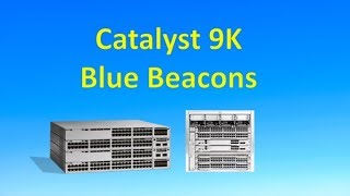 Catalyst 9000 Blue Beacon Lights [upl. by Eelyrehc]