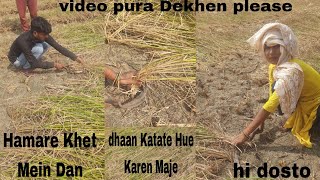 Hamare Khet ke dhaanshivavlog [upl. by Dorahs117]