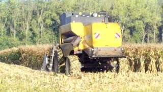 New Holland battage moisson 2009 Maïs Grecav 6 rangs harvest [upl. by Zetneuq]