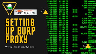 How to set up foxy proxy and burp  Portswigger Web security academy websecurity burp bugbounty [upl. by King611]