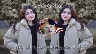 DholaSanuChoryaHaaiKachiSharabWango  Slow Reverb  saraiki song  proud by ijaz x reverb [upl. by Wymore]