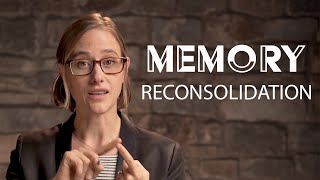 Memory Reconsolidation How to Rewire Our Brain  Chapter 4 [upl. by Afatsum]