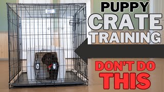 Everything You Need To Know About Crate Training  Pro Tips amp Tricks [upl. by Fattal]