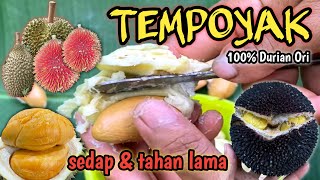 CARA MEMBUAT TEMPOYAK DURIAN 100  ORI SEDAP DAN TAHAN LAMA [upl. by Claybourne]