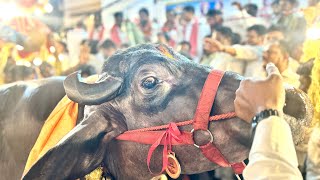 Khairatabad Sadar 2024  Sadar Sayyata at Khairatabad Bada Ganesh Sadar festival in Hyderabad 2024 [upl. by Eissalc]