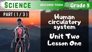 Science  Grade 5  Unit 2 Lesson 1  Part 1  Circulatory system and circulation [upl. by Uis]