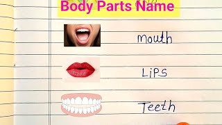 Body Parts  Body Parts Name  Body Parts Name In English  Parts Of The Body [upl. by Ellehc238]