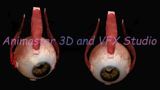 Squint Eye Fixing Animation  3D Medical Animation [upl. by Ridley835]