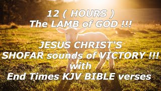 The Lamb of God Jesus Christs Shofar sounds of Victory for 12 hours with End times KJV Bible verses [upl. by Ulda735]