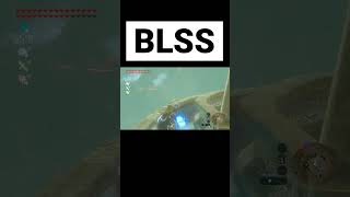 BLSS やり方解説 ゼルダの伝説 ブレワイ ティアキン [upl. by Noir542]