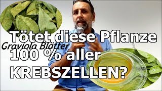 Diese PFLANZE kann 100  der KREBSZELLEN bekämpfen [upl. by Dougal]