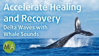 Accelerate Healing and Recovery Delta Waves with Whale Sounds  Isochronic Tones [upl. by York]