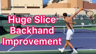 3 Awesome Slice Backhand Tips Grigor Dimitrov Tennis Technique [upl. by Rudolf886]